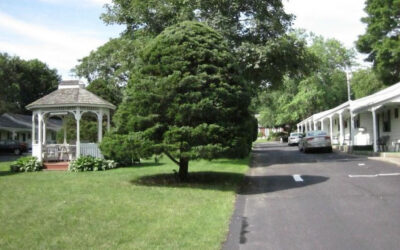 Country Acres