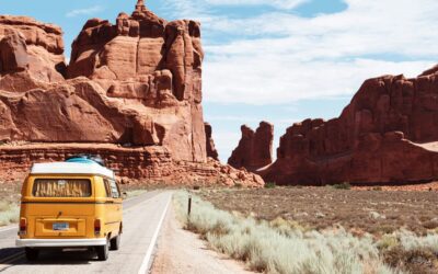 3 Actionable Tips for Independent Hospitality Properties to Prosper this Season and Embrace the Uncertainty